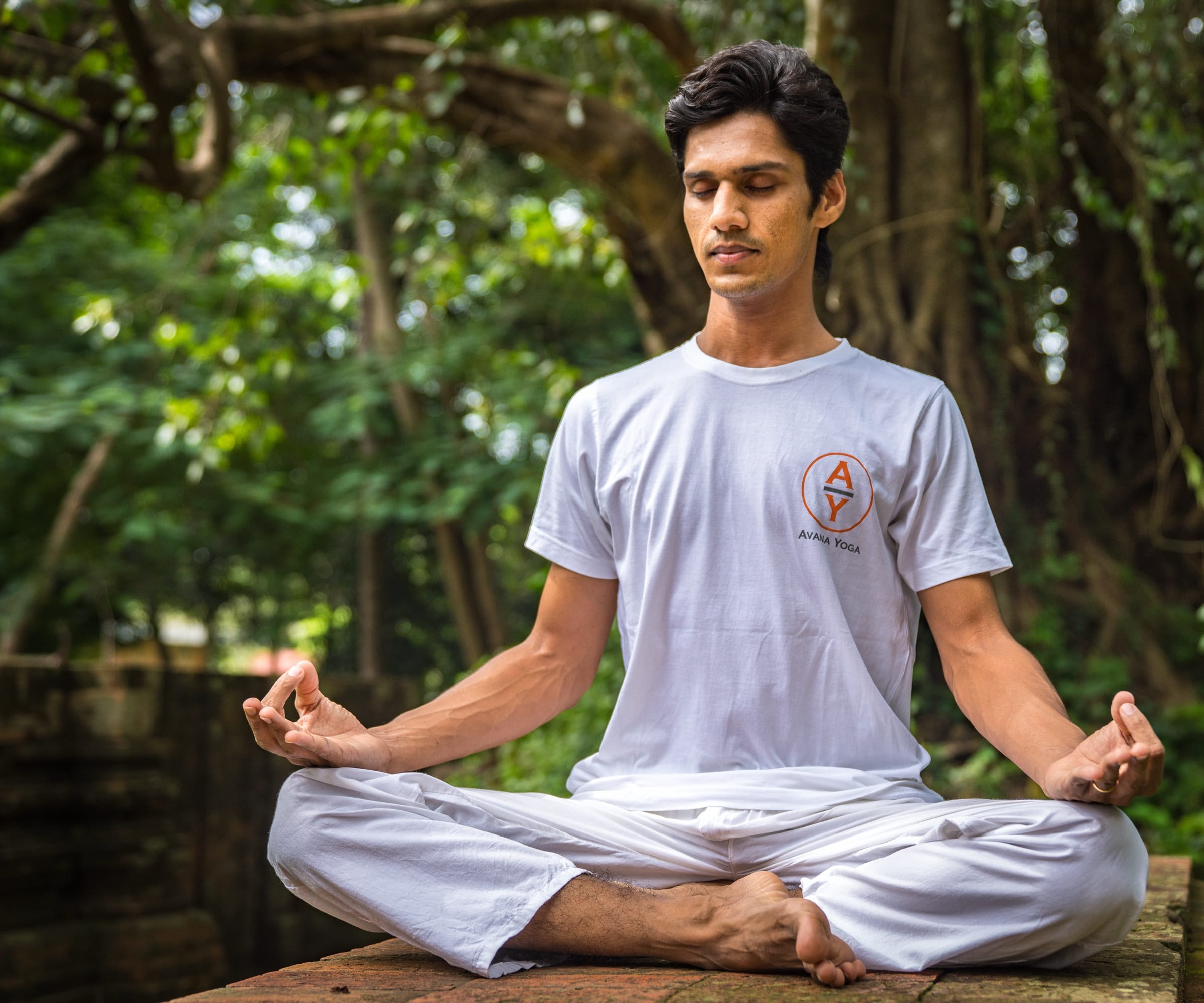 Yogi Madhav in seated meditation, hands resting on his knees, framed by forest