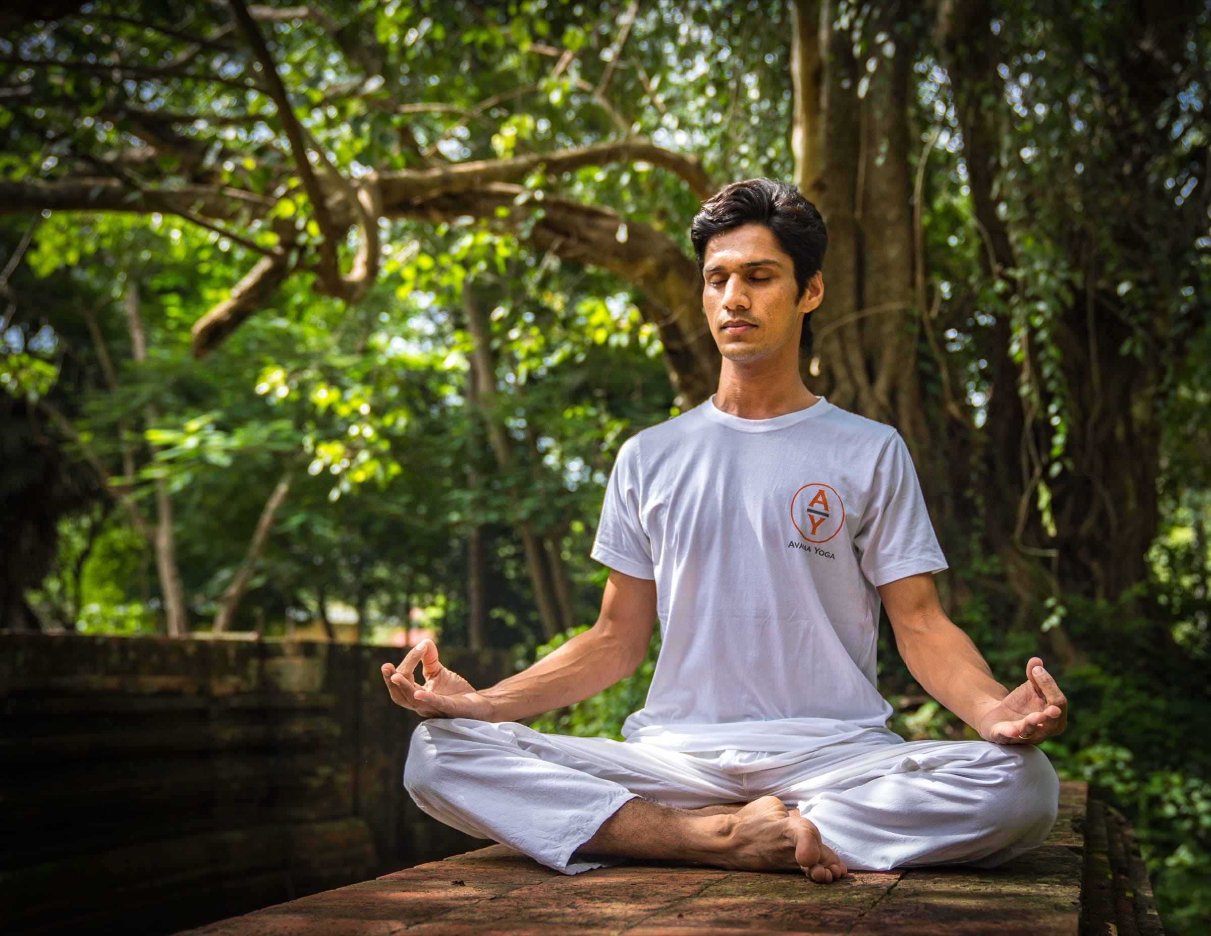 Yogi Madhav seated cross-legged in meditation on a stone ledge beneath a forest canopy